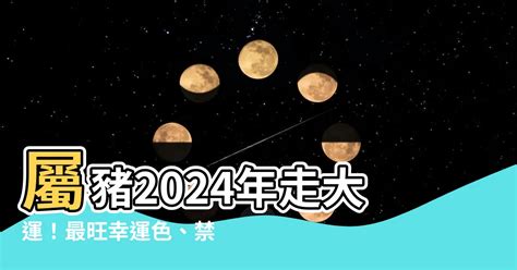 1995屬豬幸運色|【1995年 五行】1995年五行屬什麼？揭曉你的命理密碼！